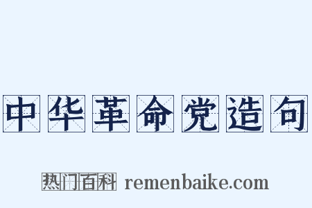 中华革命党造句是什么意思的图片